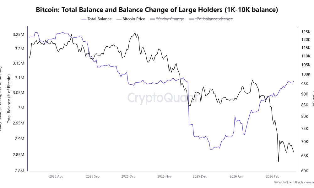 Cryptocurrencies, Bitcoin Price, Markets, Cryptocurrency Exchange, Binance, Price Analysis, Market Analysis, Liquidity, Whale