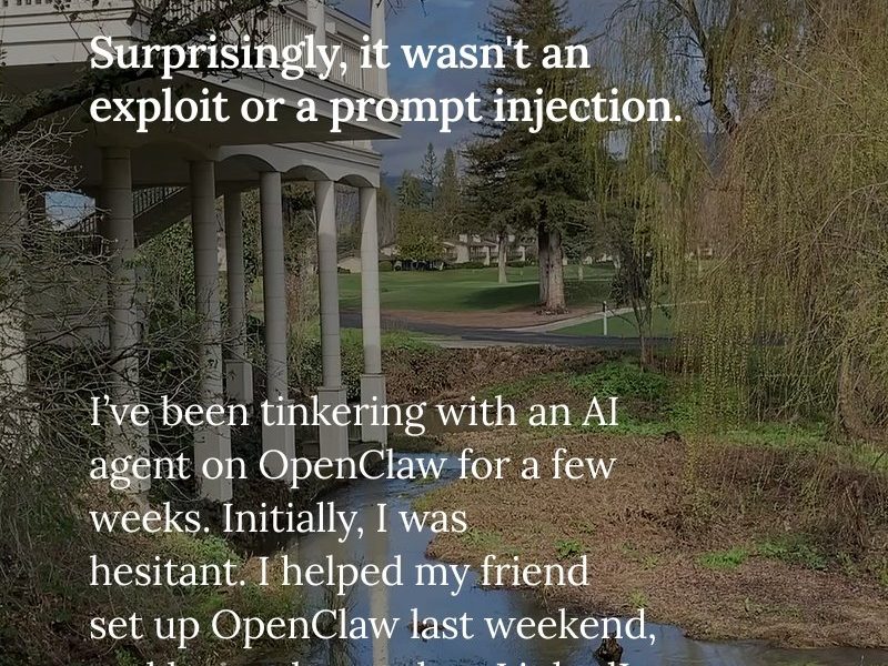 Twitter, Transactions, Data, Solana, Memecoin, OpenAI