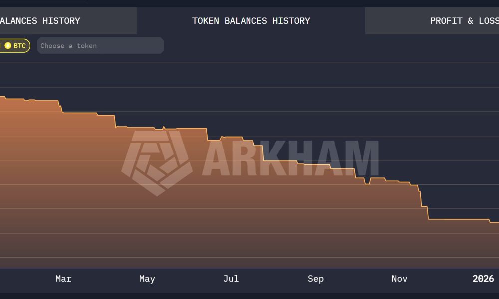 Tyler Winklevoss ‘Optimistic’ as Gemini Cuts Jobs and Sells BTC
