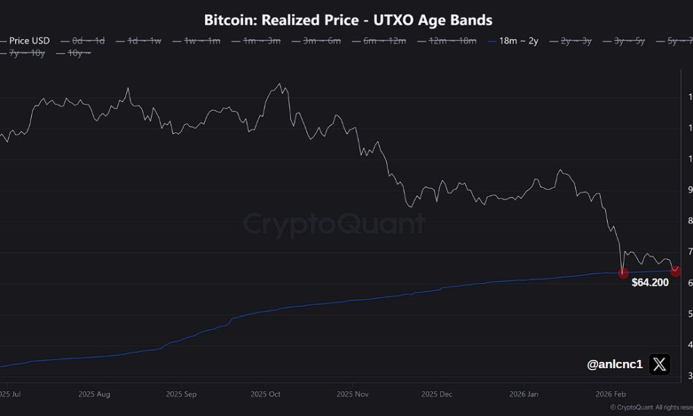 Cryptocurrencies, Bitcoin Price, Bitcoin Analysis, Adoption, Markets, Cryptocurrency Exchange, Price Analysis, Market Analysis