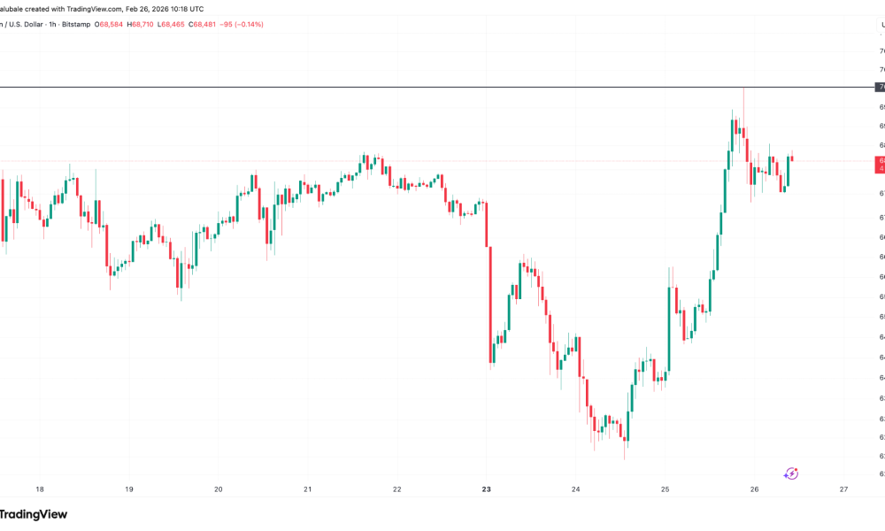 Bitcoin Price Eyes $80,000 Liquidity Grab as ETFs Resume Buying BTC