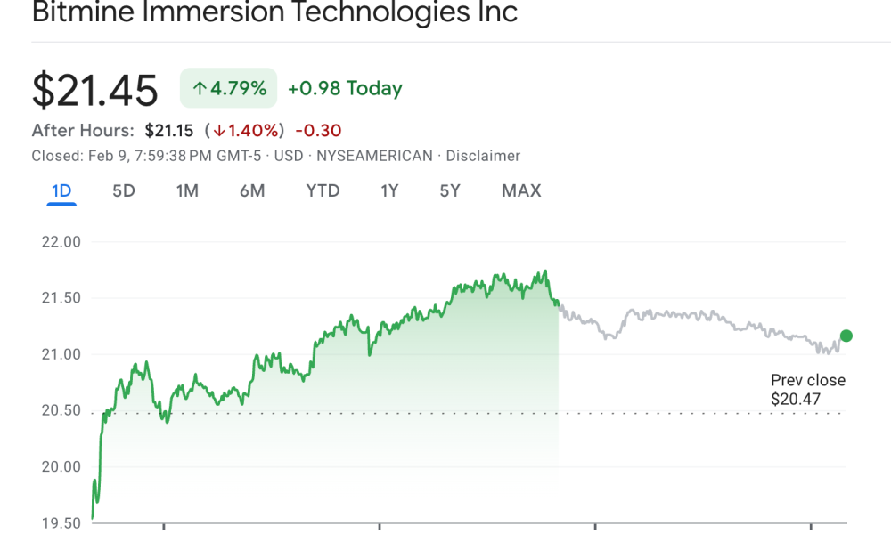 BitMine Stock After ETH Buying Disclosure