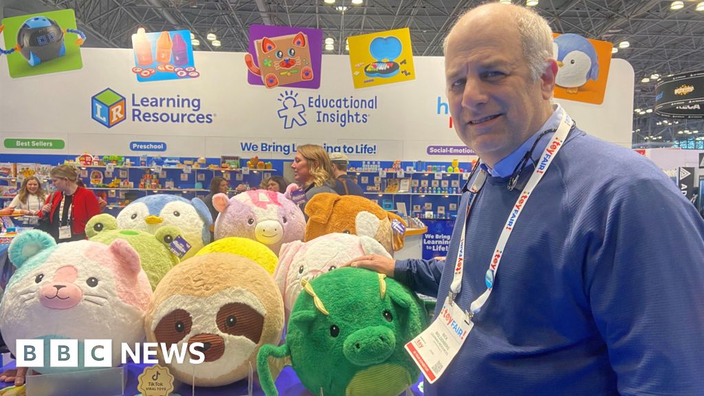 'We're still on edge': Toy firms look to US Supreme Court as tariffs hit profits