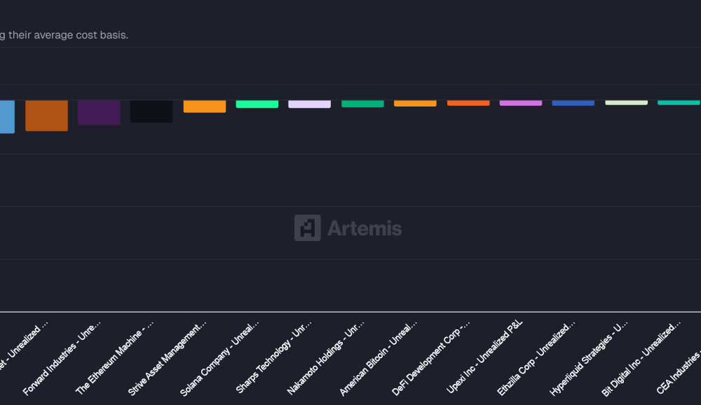 Bitcoin Crash Destroys Every Crypto Treasury: Is Bankruptcy Next?