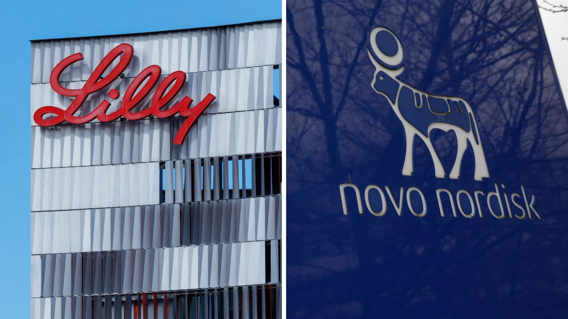 Eli Lilly gaining in GLP-1 market over Novo Nordisk, earnings show