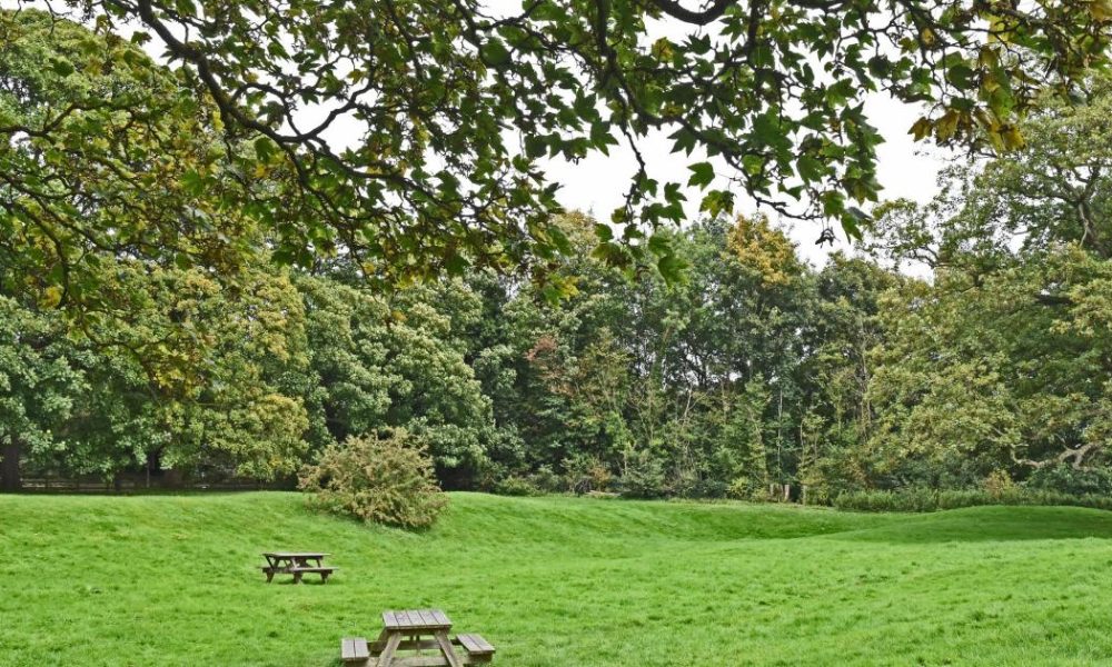 Malton: Alleged rape of woman in area of Orchard Fields