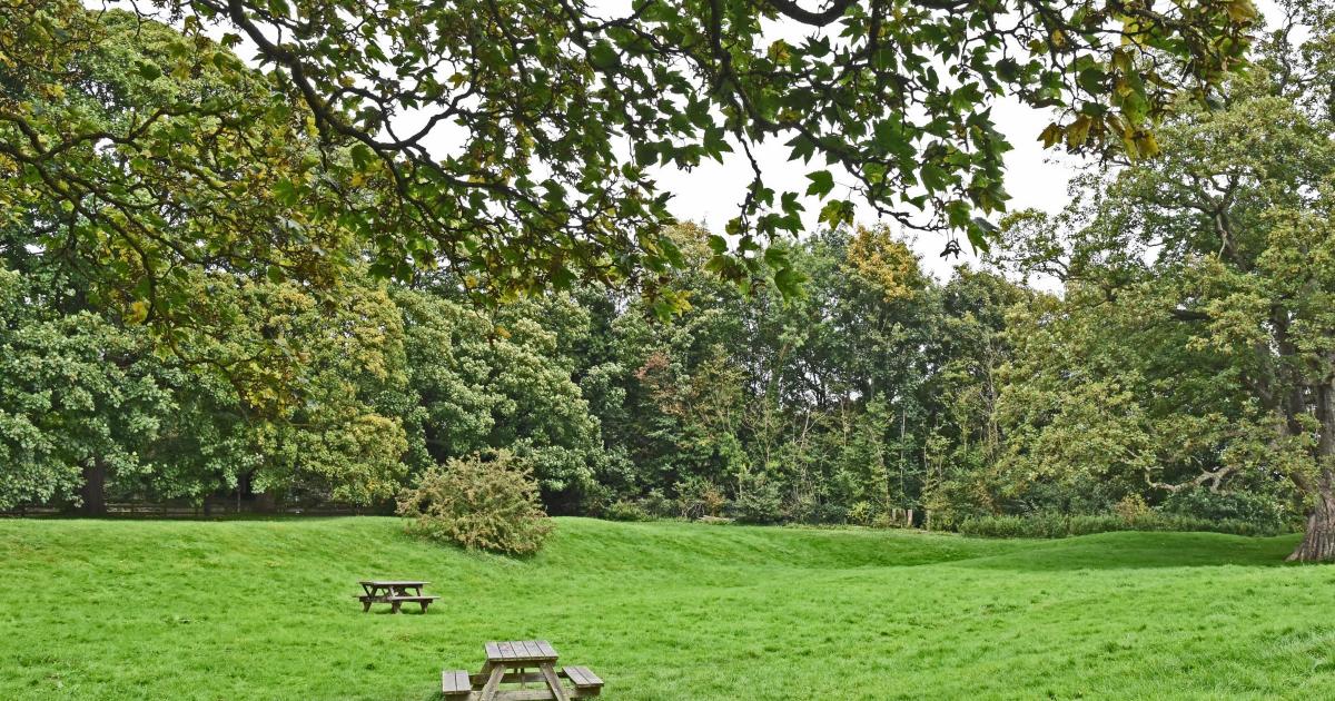 Malton: Alleged rape of woman in area of Orchard Fields
