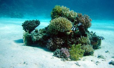 BTC spot exchange-traded fund holders are in the red, may throw in the towel