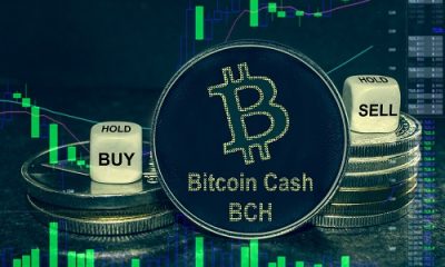 Bitcoin Cash holds near $500 despite broader crypto market slump: check 2026 outlook