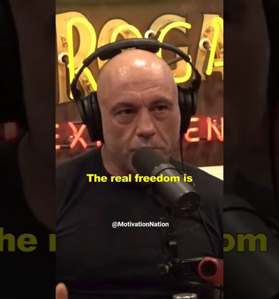 Joe Rogan Financial Freedom Explained