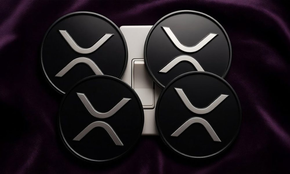 XRP ALL IN !!!!! JB ACTIVATED !!!!! 126 DAVID SCHWARTZ FLIP OF THE SWITCH !!!!