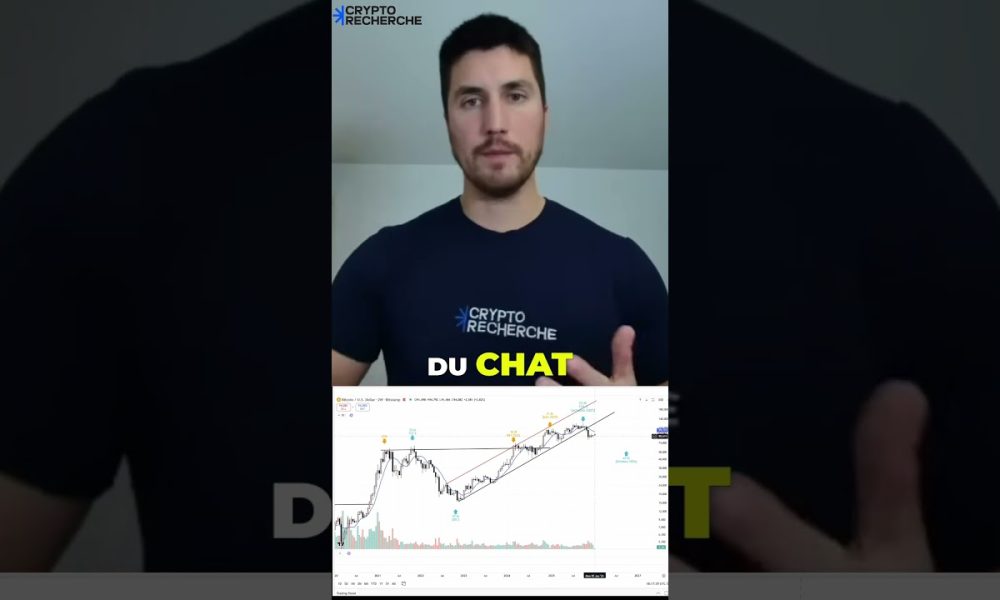 Bitcoin : surfer le cycle de 4 ans