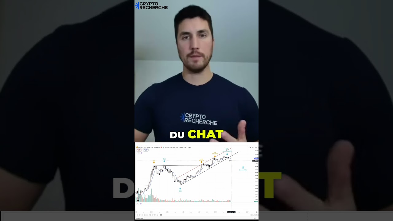 Bitcoin : surfer le cycle de 4 ans