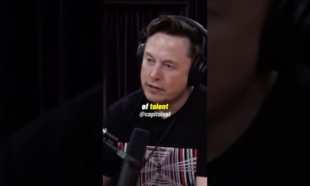 Elon Musk On Why You Should NOT Study Finance/Law