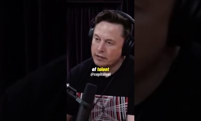 Elon Musk On Why You Should NOT Study Finance/Law