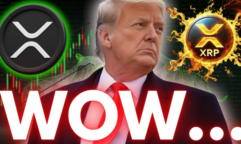 XRP: Is THIS the Good NEWS We’ve Been Waiting For? What The White House Just Said!