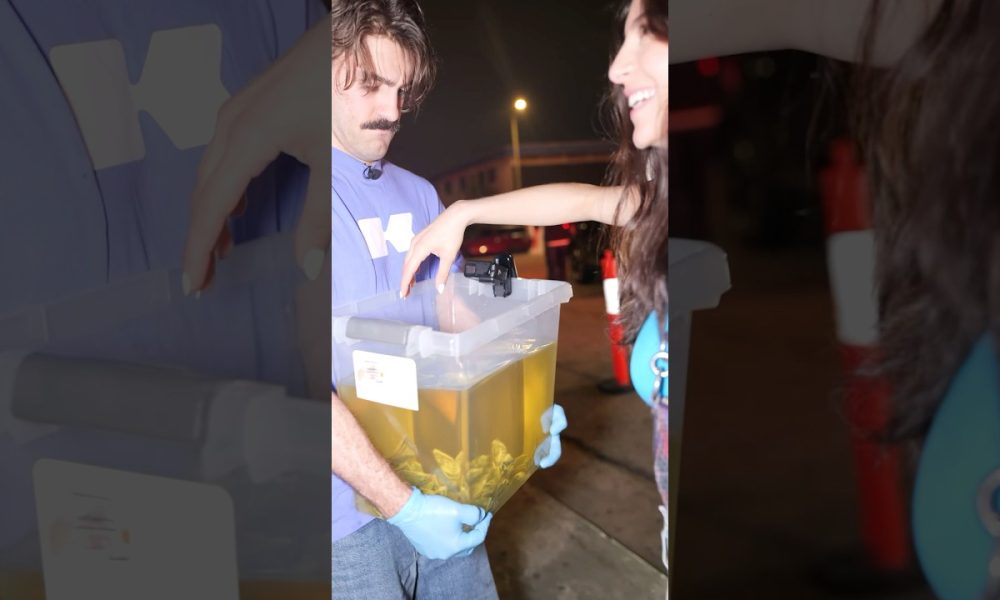 The Oily Money Challenge