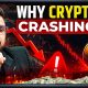 Why Crypto is Crashing? | 5 Survival Strategies to Protect Money