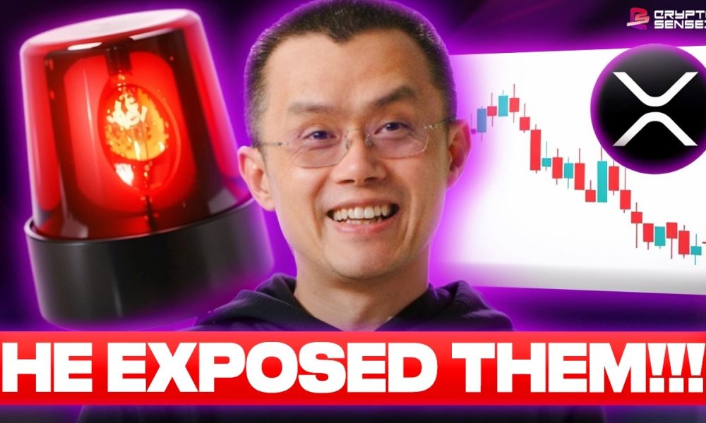 MAJOR XRP TRUTH BOMB! HE EXPOSED THEM! (URGENT WARNING)