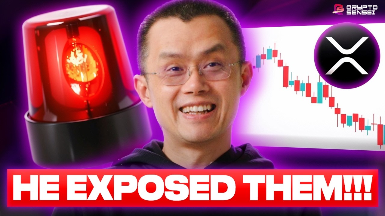 MAJOR XRP TRUTH BOMB! HE EXPOSED THEM! (URGENT WARNING)