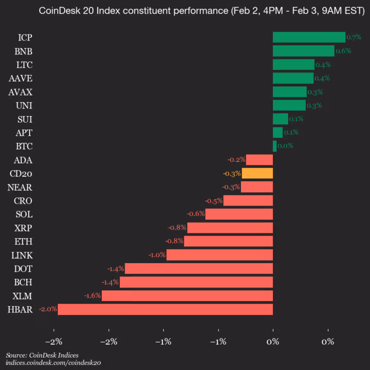 9am CoinDesk 20 Update for 2026-02-03: vertical