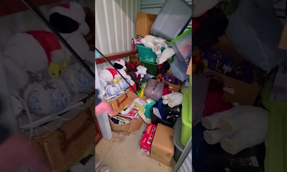 I Bought a Storage Unit For $50 #shorts #money #shortvideo #viral