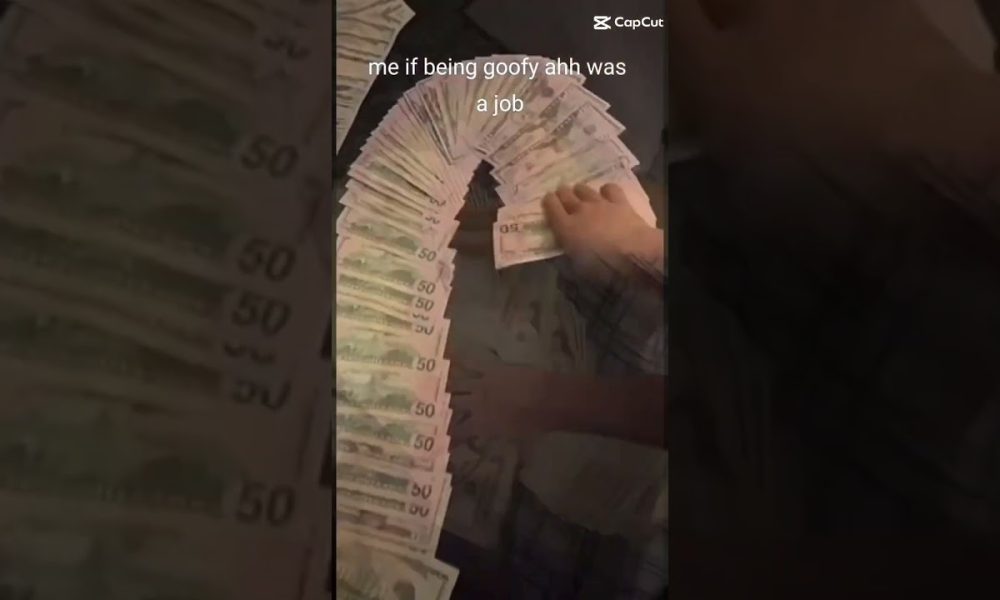 money money green green moneys all I need need#money #money #green #green #cat