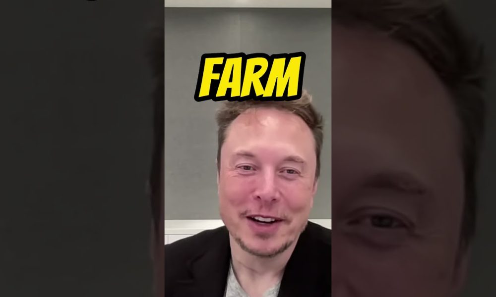 Elon Musk reveals his favorite cryptocurrency #crypto