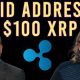 David Addresses $100 XRP