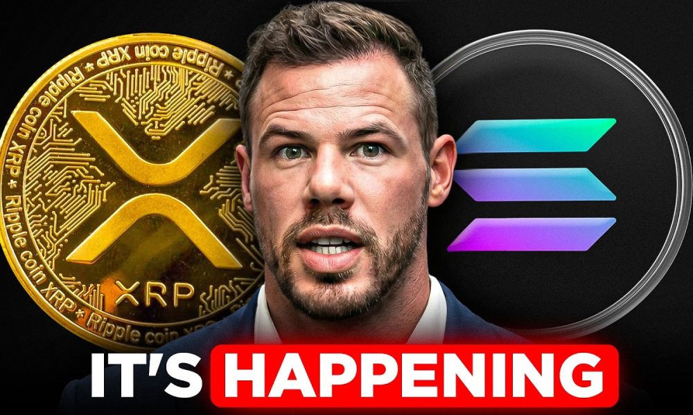 How Will Wrapped XRP on Solana Affect the Price?