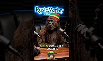 Financial advice #rastamonkeypodcast #rassbsaivibes #rastamonkey