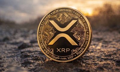 XRP ANON LIED TO US !!!!! DAVID SCHWARTZ DELETED TWEET !!!! MR POOL XRP CRASH THEN PARABOLIC !!!!