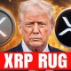 XRP It's All COLLAPSING!