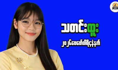 A Thoughtful Look at Financial Choices in Myanmar