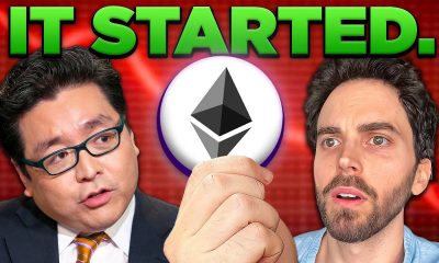 Tom Lee: The Cryptocurrency Supercycle Has Begun (DO THIS NOW)
