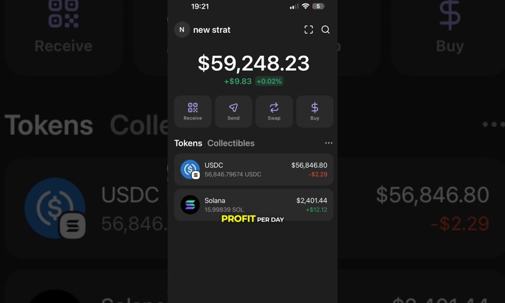 This genius memecoin trading strategy makes me $1000 per day #memecoin #crypto