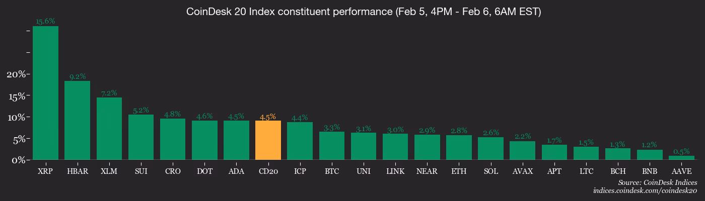 CD20, Feb. 6 2026 (CoinDesk)