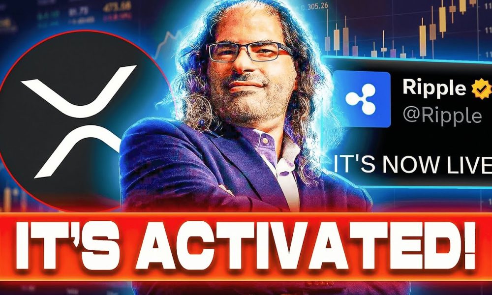 THE LARGEST XRP ACTIVATION JUST HAPPENED - MASSIVE GAME CHANGER