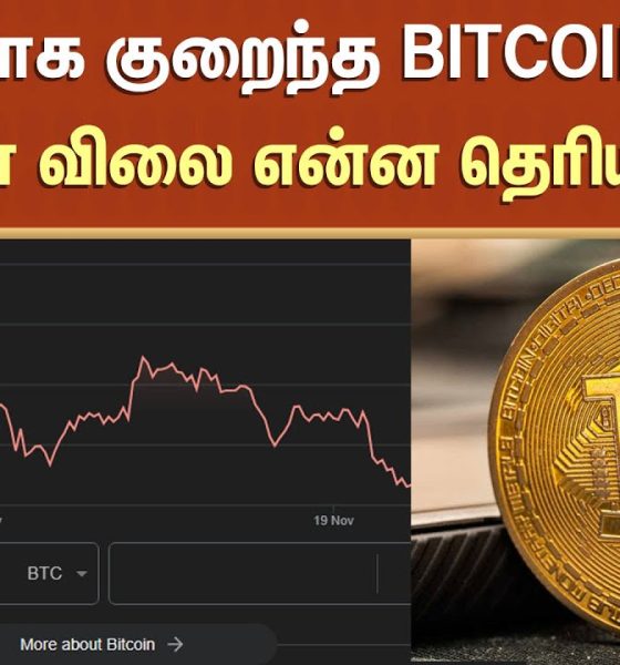 Bitcoin | Price Down | Digital Coin | Crypto Currency | Investors | Sun News