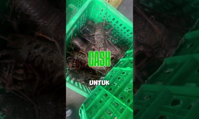 Ekspor mesin PENCETAK UANG, Financial Market mesin PENGGANDAAN UANG.