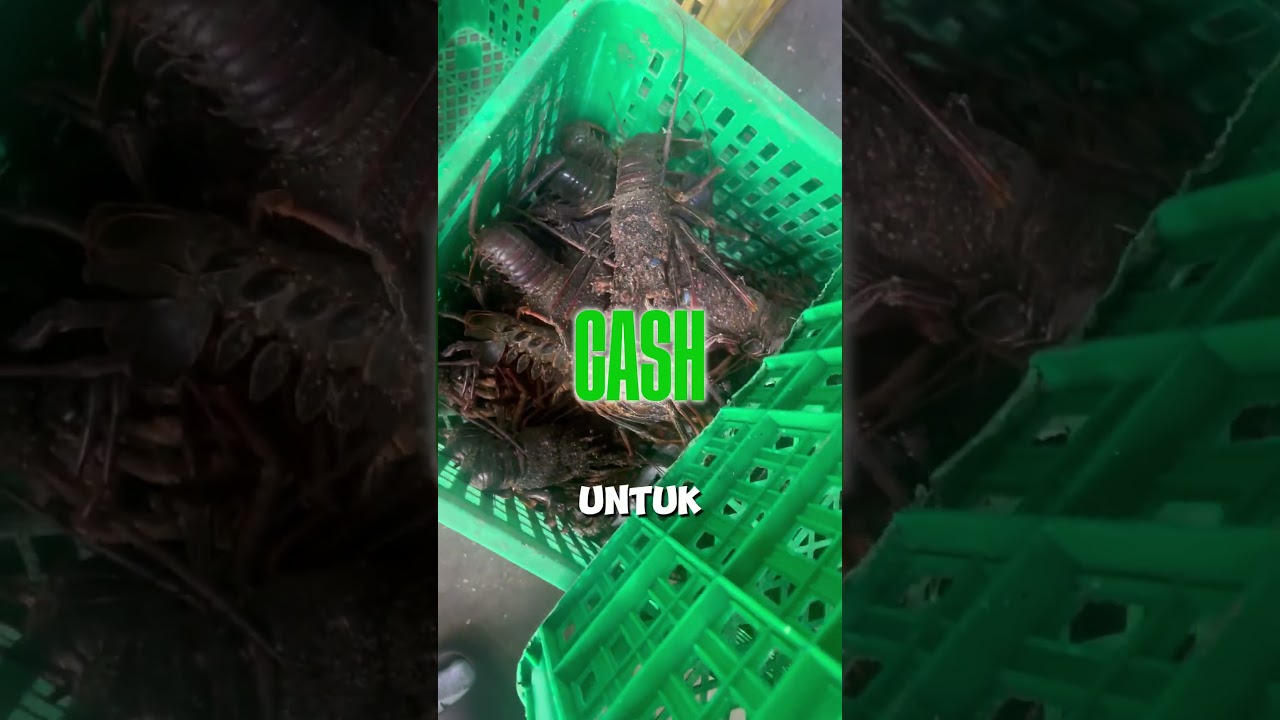 Ekspor mesin PENCETAK UANG, Financial Market mesin PENGGANDAAN UANG.