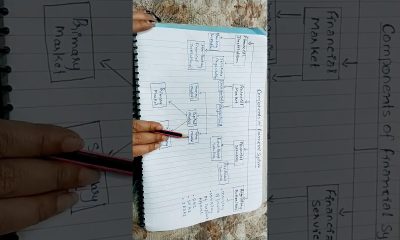 Components of Financial System| Indian Financial System