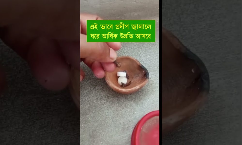 A lamp will cost you a lot of money.|#ytshortsvideo #facts #viralshorts #ytstudioes