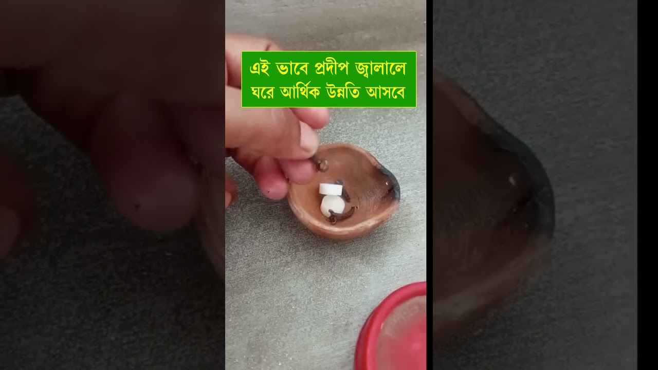 A lamp will cost you a lot of money.|#ytshortsvideo #facts #viralshorts #ytstudioes