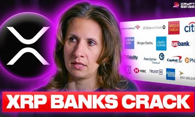 XRP BANKS AND INSTITUTIONS CRACKED (IT'S TIME)
