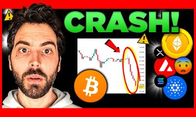 BIGGEST Cryptocurrency Market CRASH!! What Happens Next??