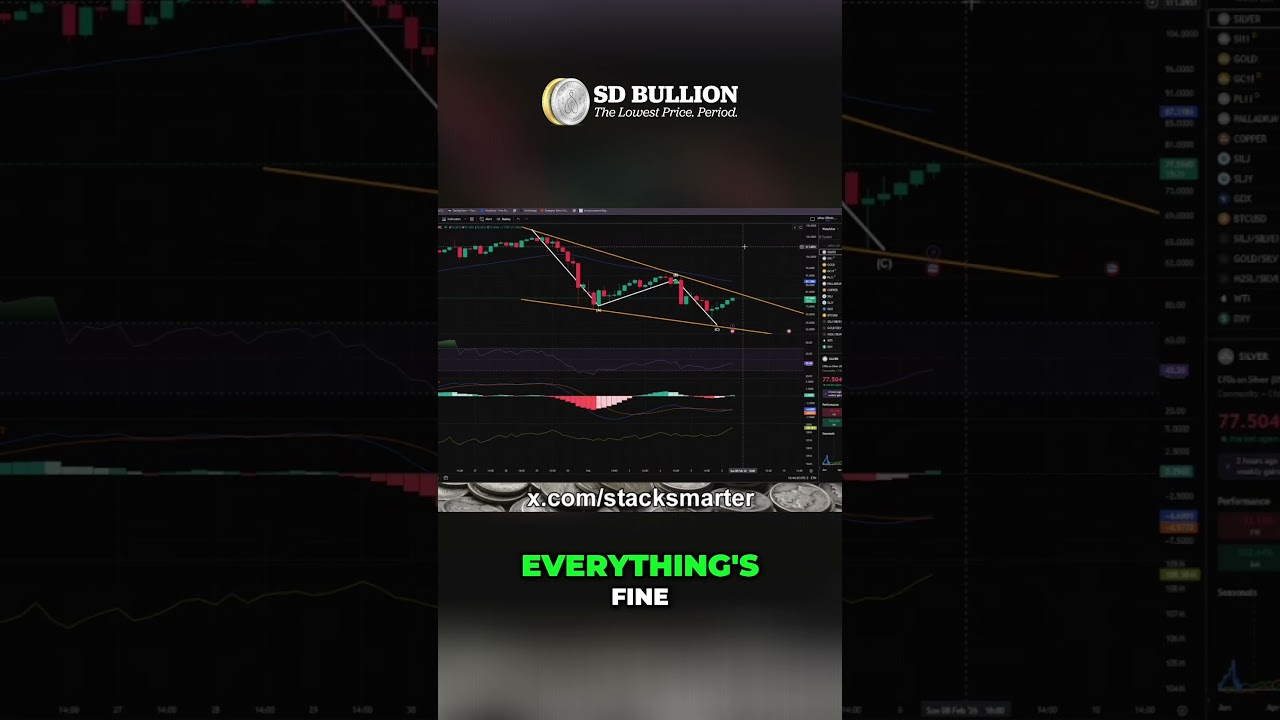 Paper Silver Price Irrelevant - Global Financial System Reset Explained