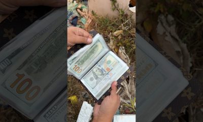 LV bramd bag. they forgot it. #money #dollar #shorts #short