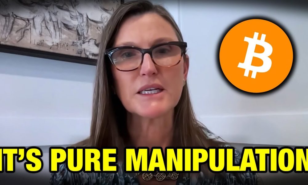 Cathie Explains How to Survive this Bitcoin Crash and Profit From It