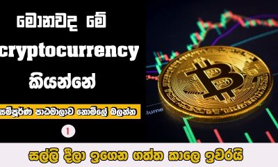 what is cryptocurrency Sinhala  Crypto Sinhala